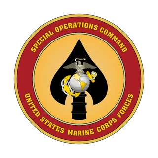 Marine Forces Special Operations Command